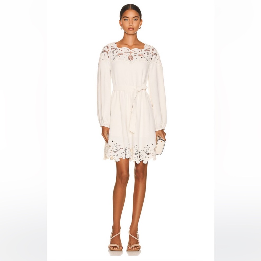 Embroidered Johnathan Simkhai mini dress